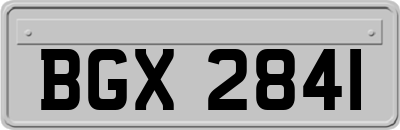 BGX2841