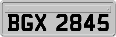 BGX2845