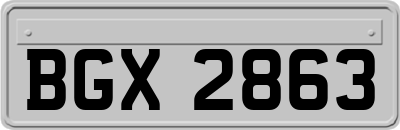 BGX2863