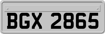 BGX2865