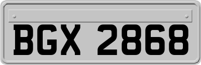 BGX2868