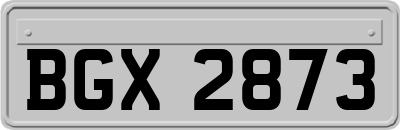 BGX2873