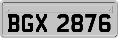 BGX2876