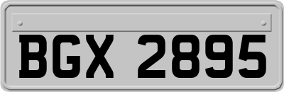 BGX2895