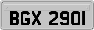 BGX2901
