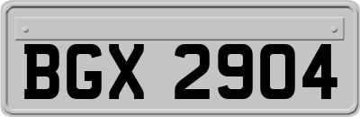 BGX2904
