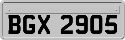 BGX2905