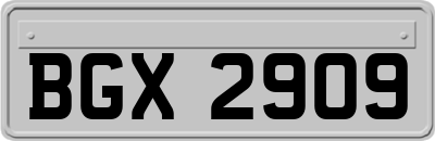 BGX2909