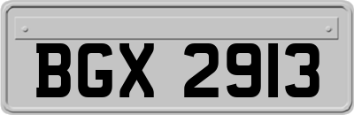 BGX2913