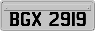 BGX2919