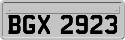 BGX2923