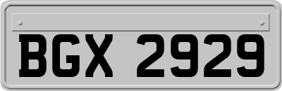 BGX2929