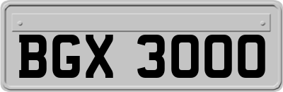 BGX3000