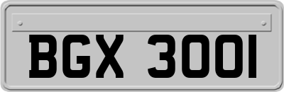 BGX3001
