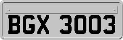 BGX3003