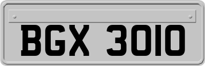 BGX3010