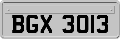 BGX3013