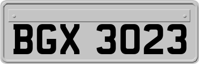 BGX3023