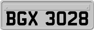 BGX3028