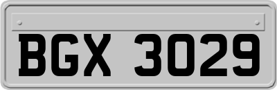 BGX3029