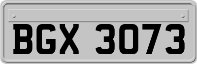 BGX3073