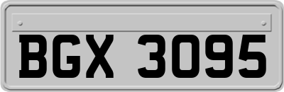 BGX3095