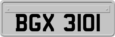 BGX3101