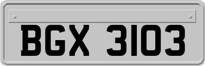 BGX3103