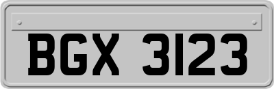 BGX3123
