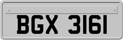 BGX3161