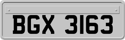 BGX3163