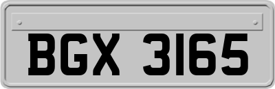 BGX3165