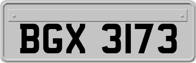 BGX3173