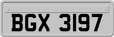 BGX3197
