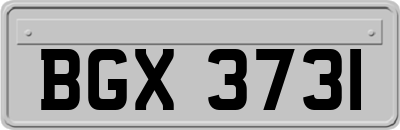 BGX3731