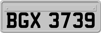 BGX3739