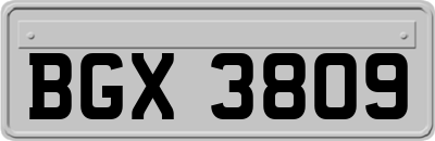 BGX3809