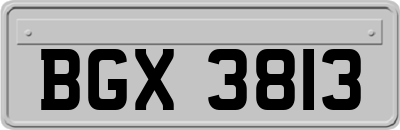BGX3813