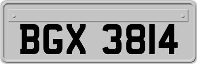 BGX3814