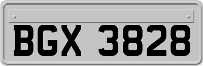 BGX3828