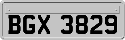 BGX3829