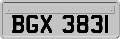 BGX3831