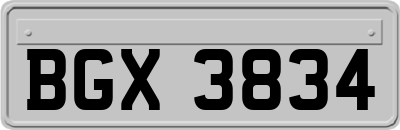 BGX3834