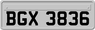 BGX3836