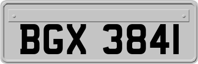 BGX3841
