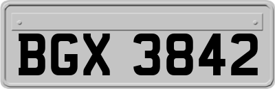 BGX3842