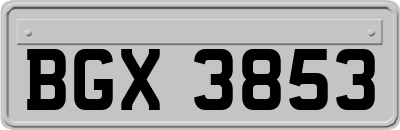 BGX3853