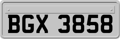 BGX3858
