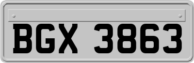 BGX3863