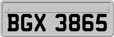 BGX3865